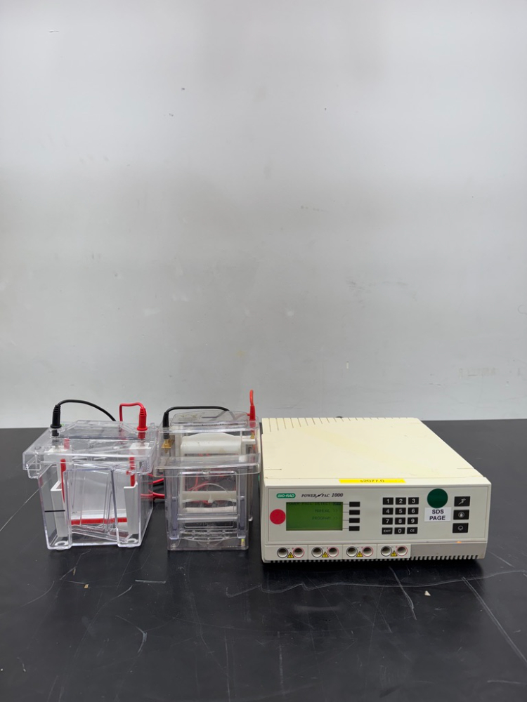 Image of Bio-Rad PowerPac 1000